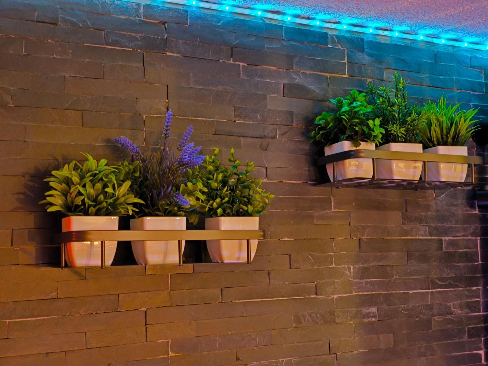 Love-Room Discret 40 M2 Bormes Les Mimosas Village Avec Terrasse 外观 照片